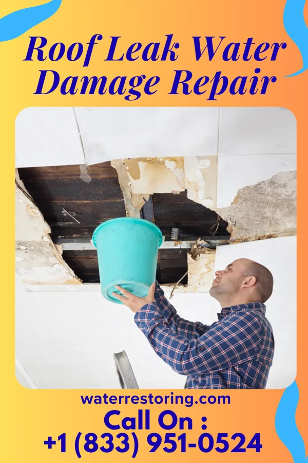 Roof Leak Water Damage Repair in Harrison, GA