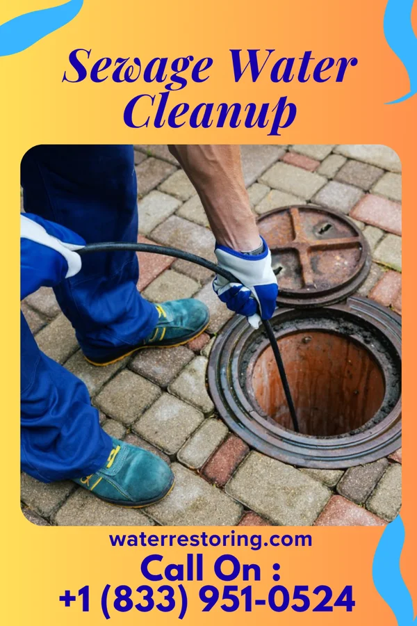 Sewage Water Cleanup in Harrison, GA